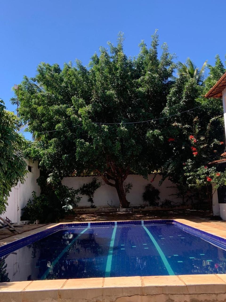 Jabuticabeira - Fazenda Sonho De Infancia Mato Verde (Minas Gerais)